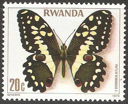 Papilio demodocus
