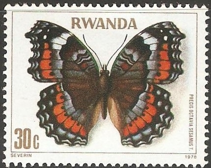 precis octavia sesamus