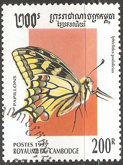 Iphiclides podalirius