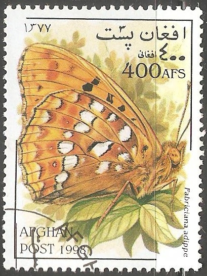 Fabriciana adippe