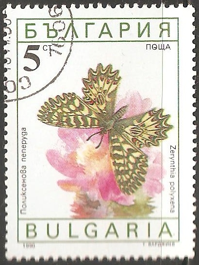 zerynthia polyxena