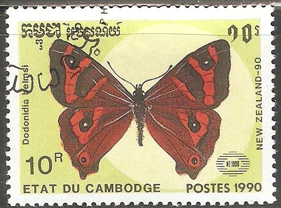 Dodonidia helmsi