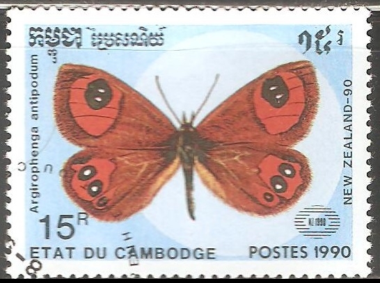 Argyrophenga