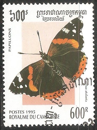 Vanessa atalanta