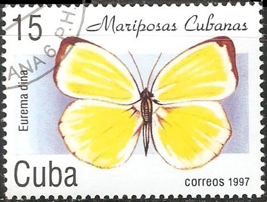 Dina Eurema 