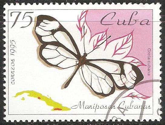 Greta cubana