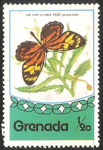 El Paraíso Birdwing (Ornithoptera paradisea) es una especie de birdwing mariposa que se encuentra en