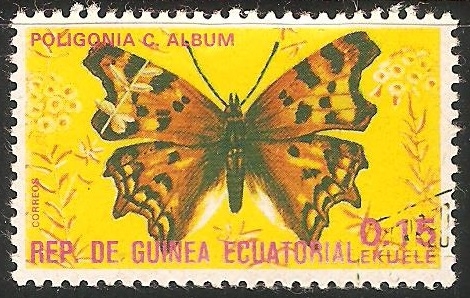 Polygonia c-álbum 