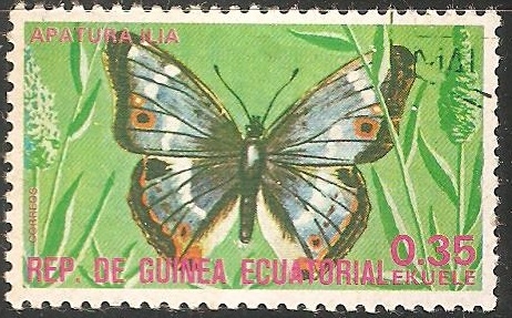 Apatura ilia