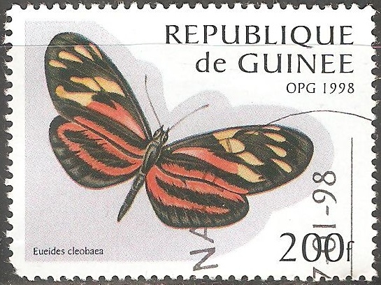 Eueides cleobaea 