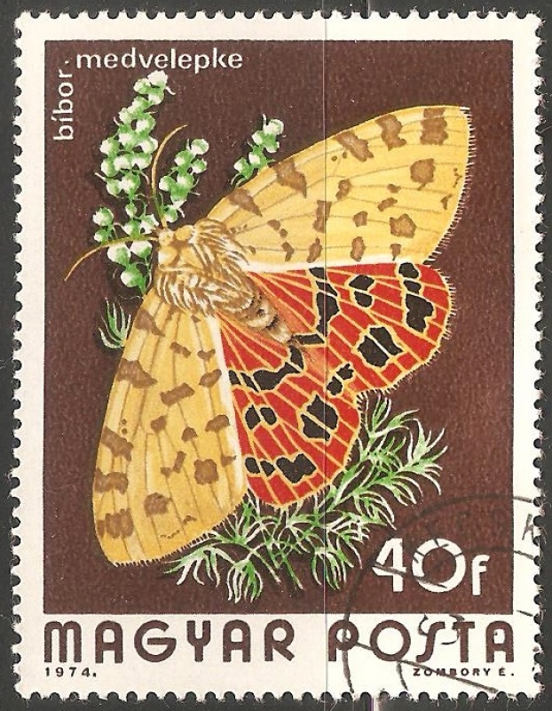 bibor medved nalepke 