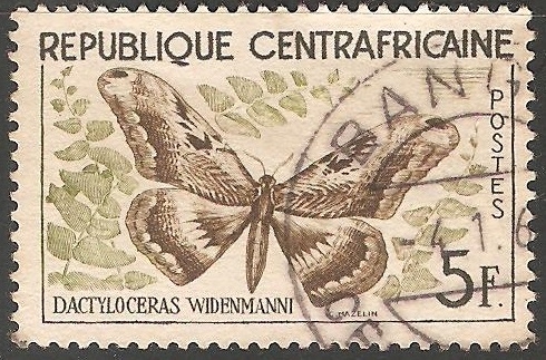 dactyloceras widenmann