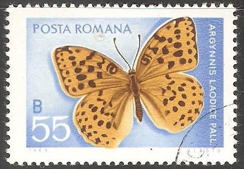 Argynnis Laodice