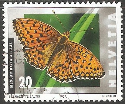 mesoacidalia aglaja