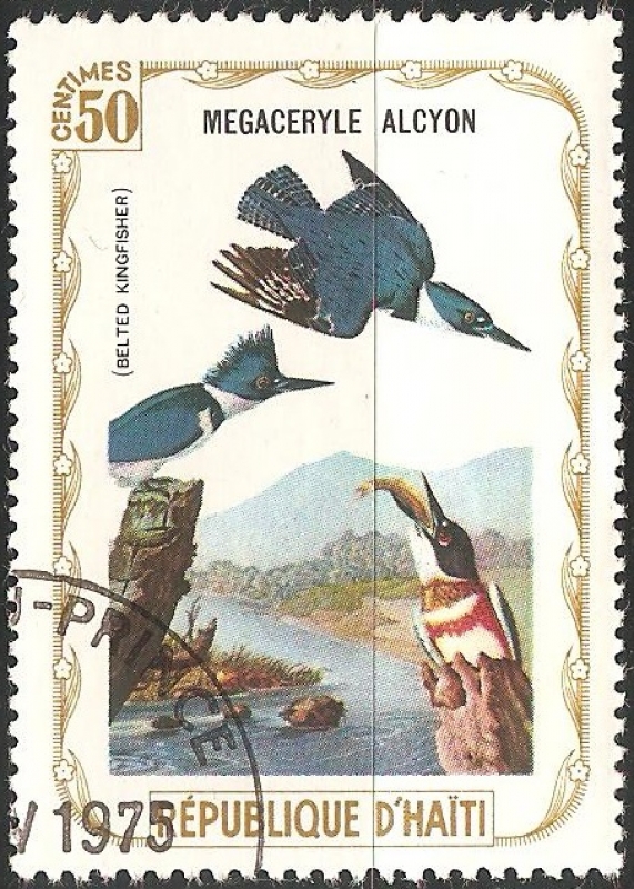 megaceryle alcyon