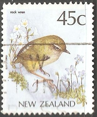 rock wren