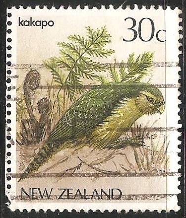 Kakapo