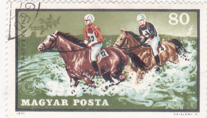 carrera hípica