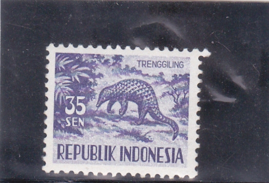pangolín