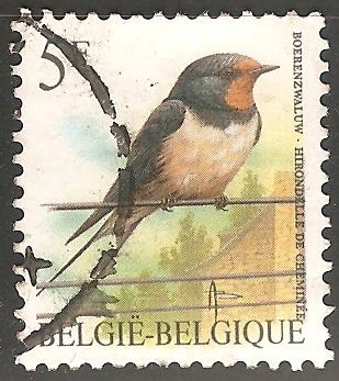 Hirundo rustica-golondrina común