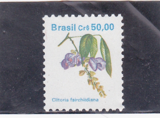 flores- clitoria