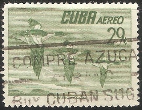Aves
