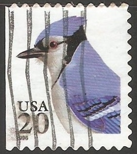 Aves