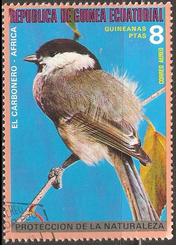 El carbonero