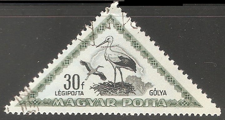 Golya