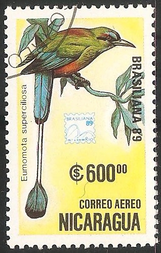 Eumomota superciliosa