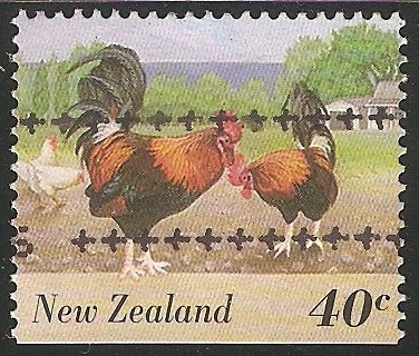 Gallinas