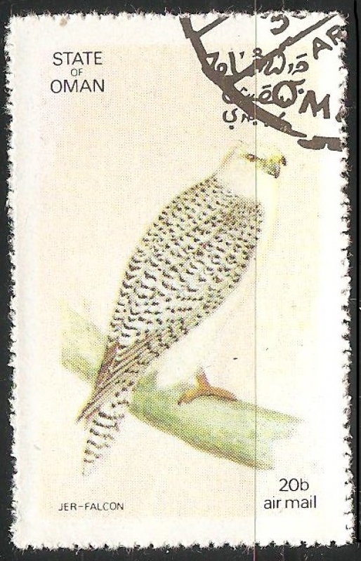 Jer falcon