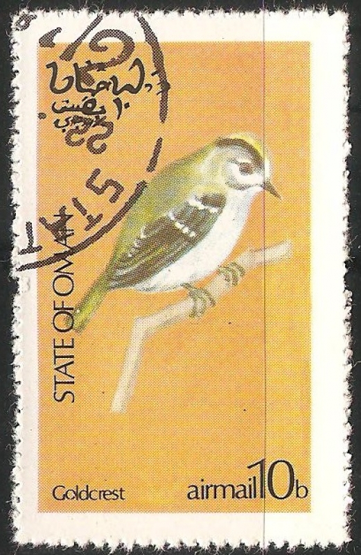 Goldcrest-Estrelinha-de-poupa