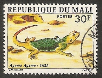 Agama agama