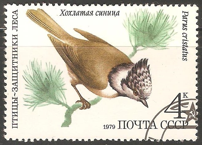Parus cristatus-herrerillo capuchino