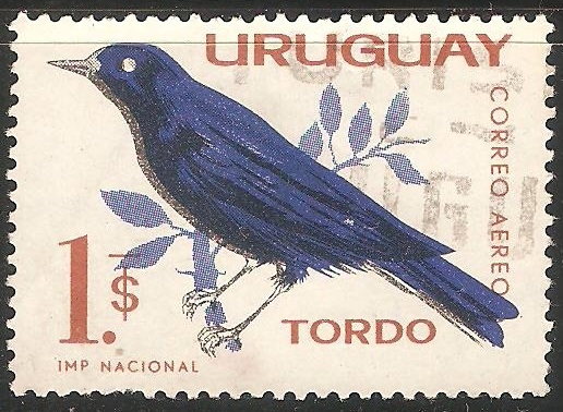 Tordo