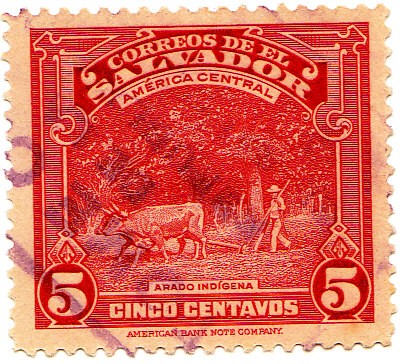 ARADOINDIGENA