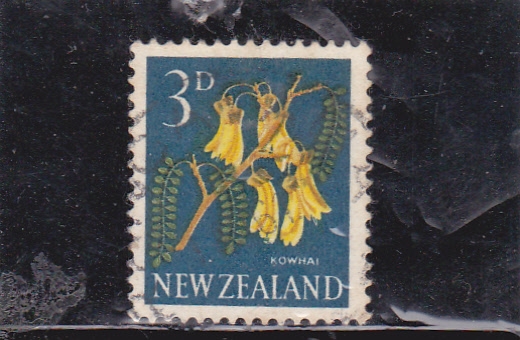 flores- kowhai