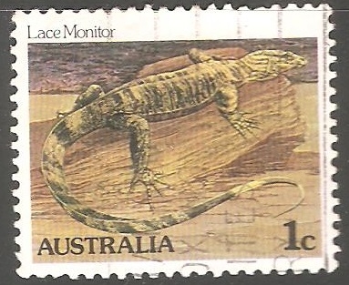 Lace monitor-Monitor de encaje 