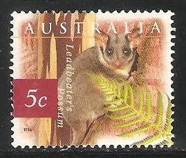 Leadbeater's possum-