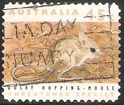 Dusky hopping mouse-Ratón salto oscuro