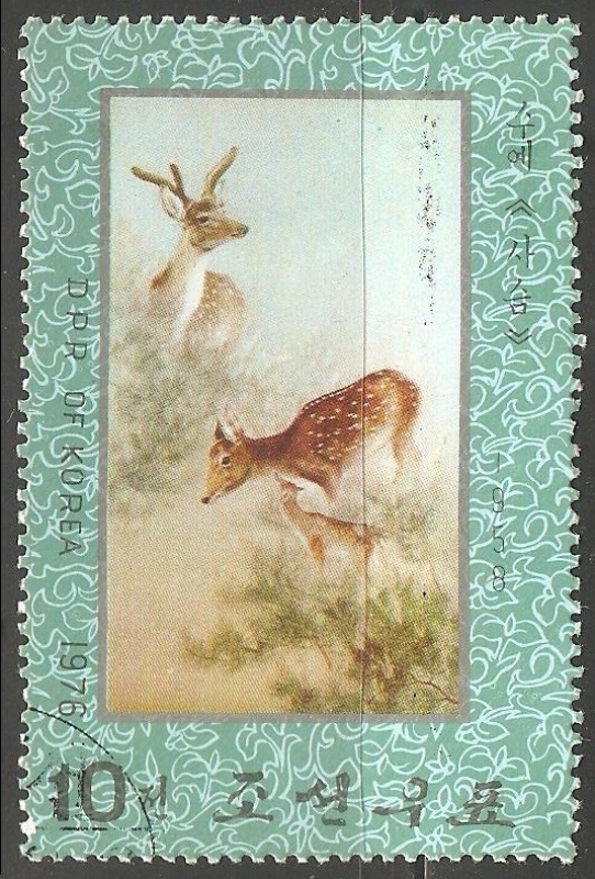 Venado