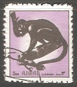Mammals