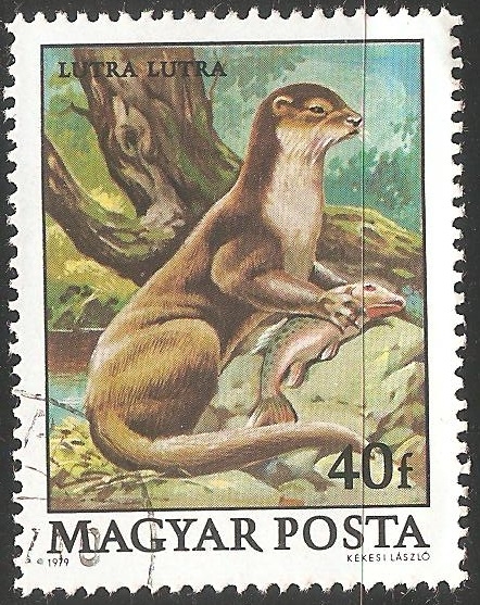 Nutria
