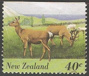 Fauna
