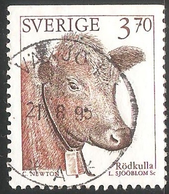 Vaca