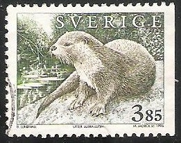 Lutra lutra-nutria europea