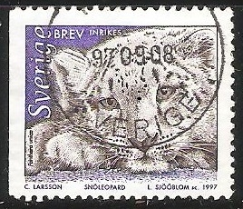 Snoleopard-Leopardo de nieve 