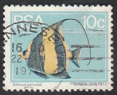 Pez, zanclus cornutus