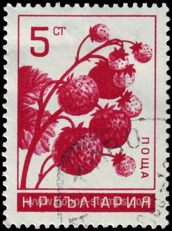 SG 1053